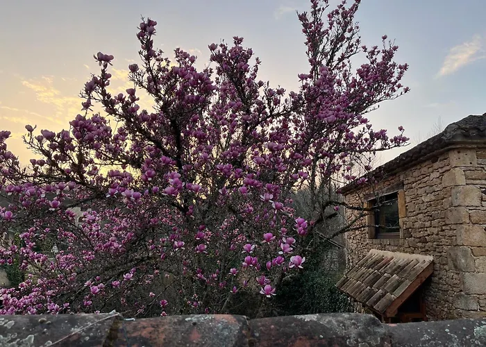 Prázdninový dům Chez Le Magnolia *