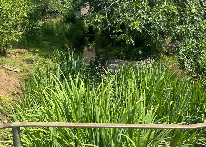 Prázdninový dům Chez Le Magnolia Frayssinet-le-Gélat