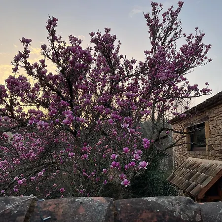 Сasa de vacaciones Chez Le Magnolia *