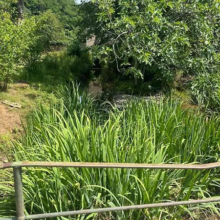 Сasa de vacaciones Chez Le Magnolia Frayssinet-le-Gélat